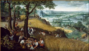 Zomerlandschap