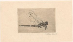 Libel door Lucie van Dam