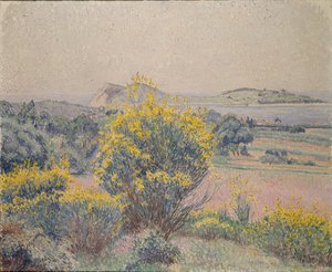 Broom, Le Brusq door Lucien Pissarro