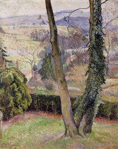 Vorst en mist, Summerleaze, East Knoyle door Lucien Pissarro