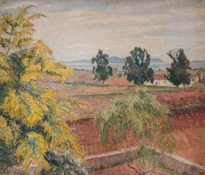 Mimosa Lavendou, 1923 door Lucien Pissarro