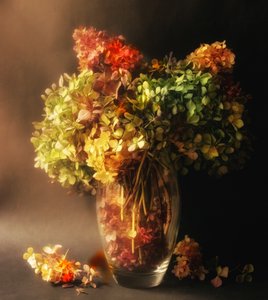  door Ludmila Shumilova