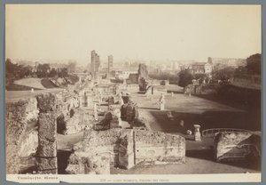 Ruïnes van de keizerlijke paleizen op de Palatijn te Rome door Ludovico Tuminello