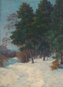 Bos in de winter