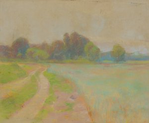 Weg bij een Veld