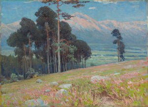 Zomersneeuw in de Tatra door Ludovit Cordak