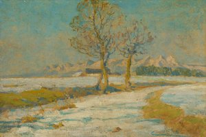 Winterlandschap in de Tatra