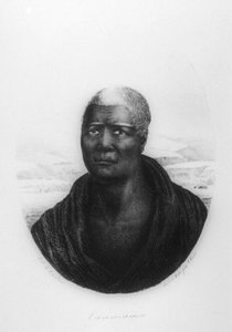 Kamehameha I, Hawaï, 1816