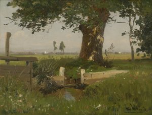 Zomers weidelandschap in Karinthië