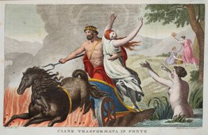 Cyane en de Ontvoering van Proserpina, Boek V, illustratie uit Ovidius
