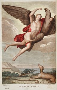Ganymedes naar de Hemel gedragen, Boek X, illustratie uit Ovidius