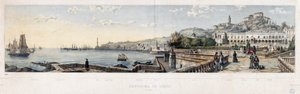 Panoramisch uitzicht op de stad Genua (lithografie) door Luigi Garibbo