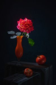  door Lydia Jacobs