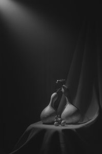  door Lydia Jacobs