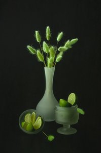 Groene planten en limoenen door Lydia Jacobs