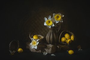  door Lydia Jacobs