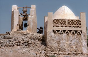 In de woestijn, een oase met een put bij Husn Al-Muttahar ten zuiden van Tarin, Jemen