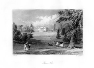 Pains Hill, Surrey, 19e eeuw door M. J. Starling