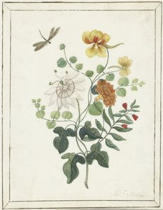 Stilleven met bloemen door Machtelt Moninckx