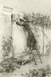 Abbe Constantin (gravure) door Madeleine Lemaire