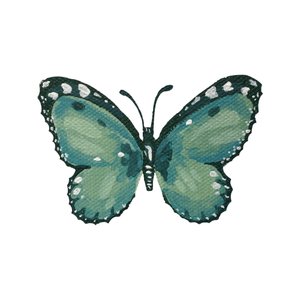 Elegante blauwgroene vlinder door Madison Phipps