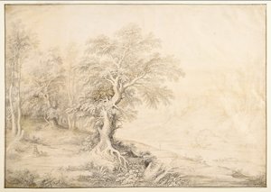 Rivierlandschap