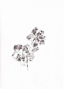Abstracte bloemenafdrukken