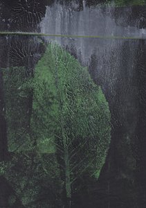 Samenvatting Groen blad