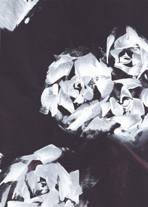 Abstracte witte bloemen