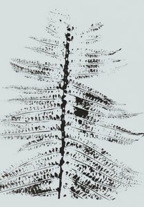 Black Ink Fern door Maira Ribena
