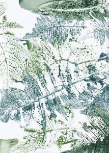 Botanische varenafbeeldingen