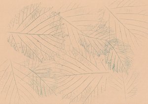 Botanisch bladpatroon