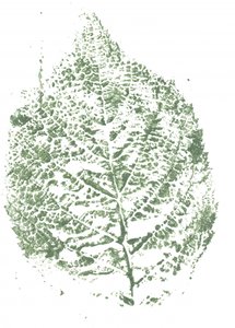 Botanische bladprint door Maira Ribena