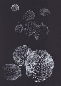 Botanische bladprints