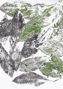Botanische bladprints