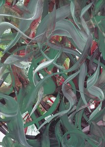 Vloeiend groen abstract