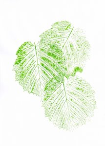 Afdrukken van verse groene bladeren