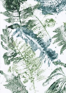 Groene varenafdrukken