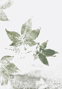 Green Leaf Impressions door Maira Ribena