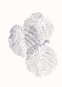 Minimalistische bladtexturen