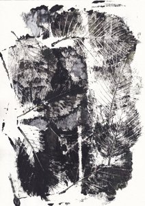 Monochrome botanische impressies