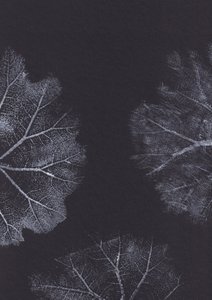 Monochrome bladtexturen