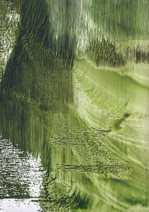 Biologische Groene Stroom door Maira Ribena