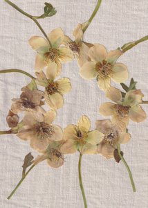 Krans van gedroogde bloemen door Maira Ribena