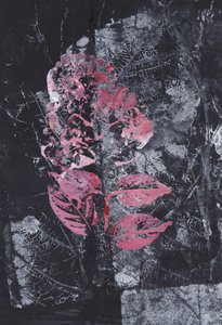 Textuur: Roze bloesem
