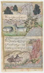 Twee wilde buffels, c.1589