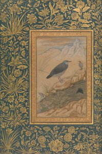 Duikende Dipper en Andere Vogels, Folio uit het Shah Jahan Album