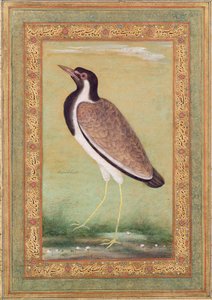 Indische kievit, c.1800