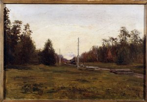Landschap met een trein