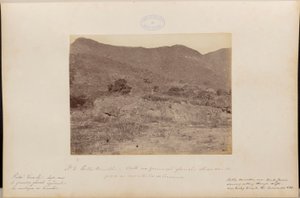 Rode poort. Gesneden in de vorm van een gletsjer die uitkijkt op het Corcovado-gebergte.